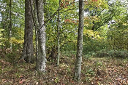 Ranch Property for sale in Marinette County, Wisconsin