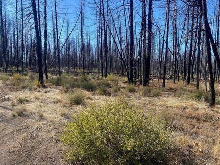 Timberland Property for sale in Klamath County, Oregon