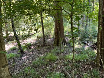 Recreational Property for sale in Tyler County, Texas