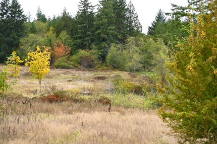 Undeveloped Land for sale in Lewis County, Washington