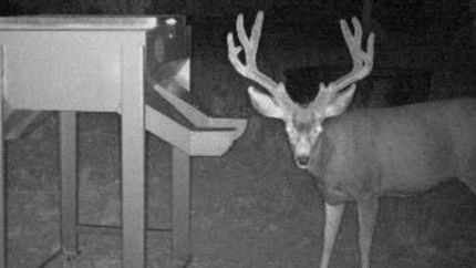 Ranch Property for sale in San Juan County, Utah