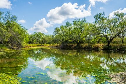Ranch Property for sale in Starr County, Texas