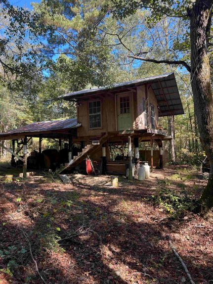 Property for sale in Pike County, Alabama