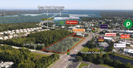 Timberland Property for sale in Pasco County, Florida