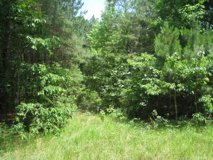 Undeveloped Land for sale in Cass County, Texas