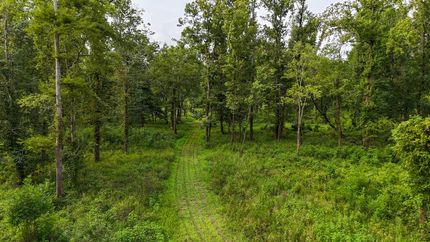 Hunting Land for sale in Jefferson County, Mississippi