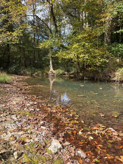 Residential Property for sale in Bledsoe County, Tennessee