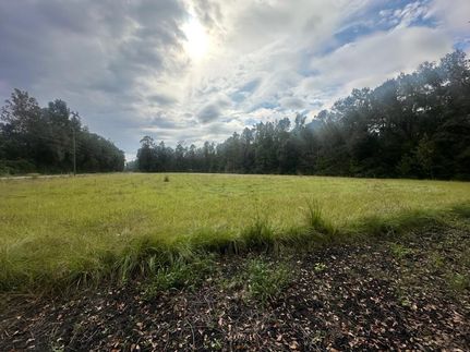Undeveloped Land for sale in Effingham County, Georgia