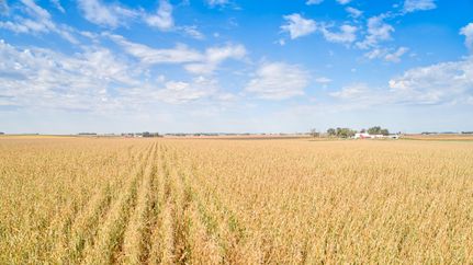 Undeveloped Land for sale in Obrien County, Iowa