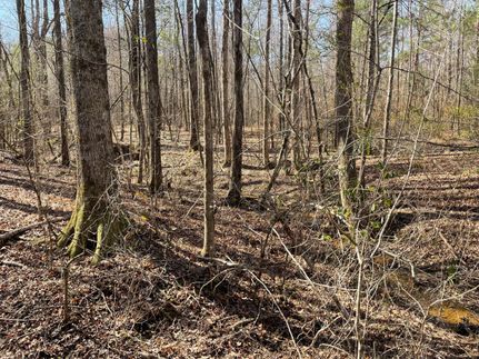 Property for sale in Chambers County, Alabama