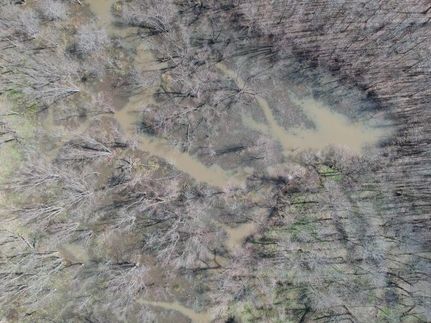 Property in Phillips County, Arkansas