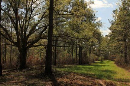 Recreational Property in Prairie County, Arkansas
