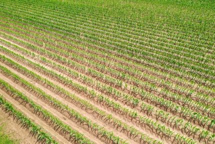 Property in Craighead County, Arkansas