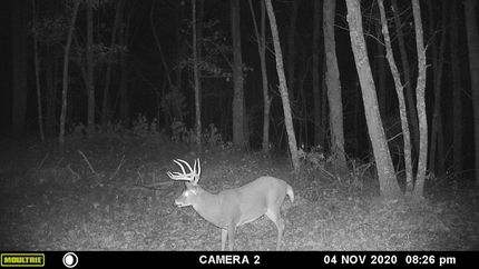 Undeveloped Land in Adams County, Ohio