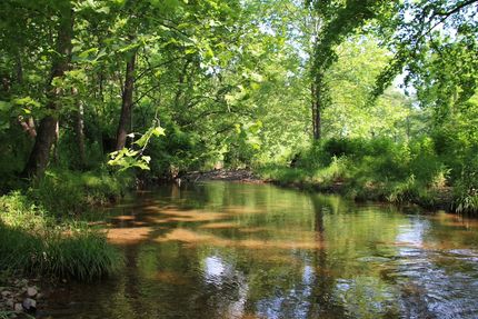 Ranch Property for sale in Frederick County, Virginia