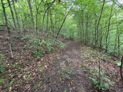 Property for sale in Campbell County, Tennessee