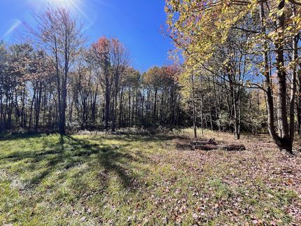 Undeveloped Land for sale in Allegany County, New York