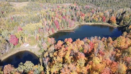 Ranch Property for sale in Ogemaw County, Michigan