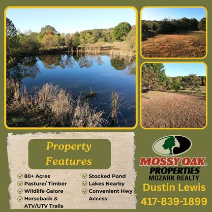 Property for sale in Polk County, Missouri