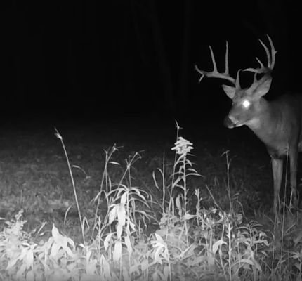 Property for sale in Mille Lacs County, Minnesota