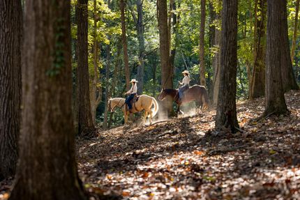 Ranch Property for sale in Williamson County, Tennessee