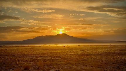 Property for sale in Socorro County, New Mexico