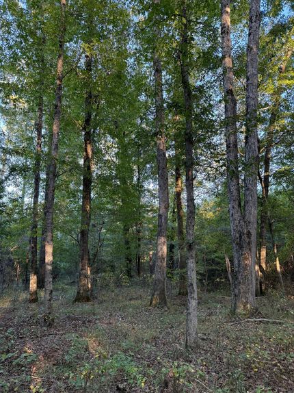 Ranch Property for sale in Choctaw County, Mississippi