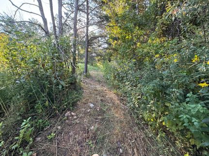 Property for sale in Bedford County, Virginia