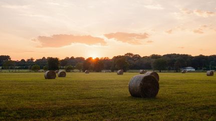 Property for sale in Madison County, Alabama