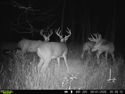 Farm Property for sale in Neosho County, Kansas