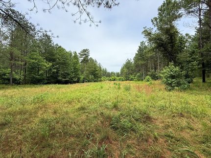 Ranch Property for sale in Van Buren County, Tennessee
