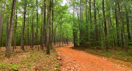 Recreational Property for sale in Shelby County, Alabama