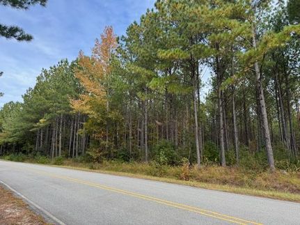 Undeveloped Land for sale in Northampton County, North Carolina
