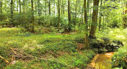 Farm Property for sale in Shelby County, Alabama
