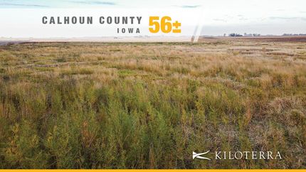 Undeveloped Land for sale in Calhoun County, Iowa