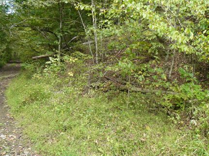 Recreational Property for sale in Claiborne County, Tennessee