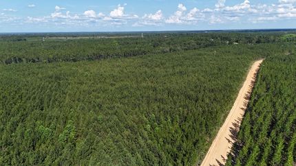 Recreational Property for sale in Appling County, Georgia