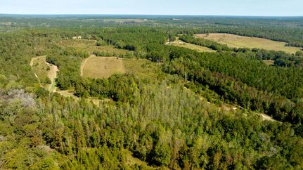 Undeveloped Land for sale in Schley County, Georgia