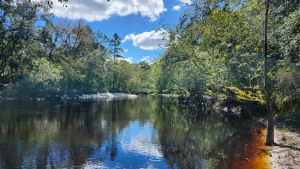 Ranch Property for sale in Charlton County, Georgia