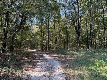 Undeveloped Land for sale in Barbour County, Alabama
