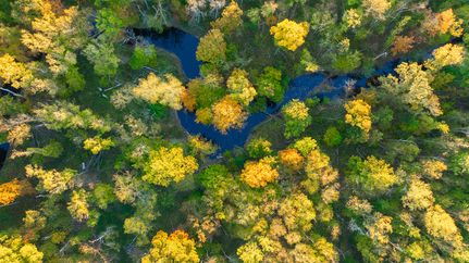 Property for sale in Clay County, Illinois