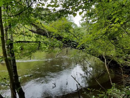 Ranch Property for sale in Colleton County, South Carolina