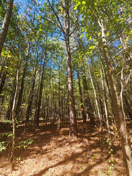 Property for sale in Cherokee County, Alabama