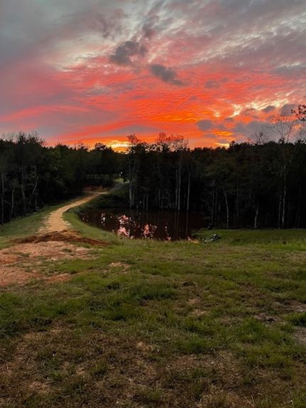 Farm Property for sale in Quitman County, Georgia