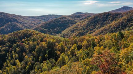Hunting Land for sale in Jackson County, North Carolina