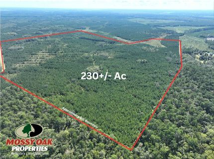 Timberland Property for sale in Camden County, Georgia