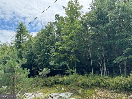 Undeveloped Land for sale in Luzerne County, Pennsylvania