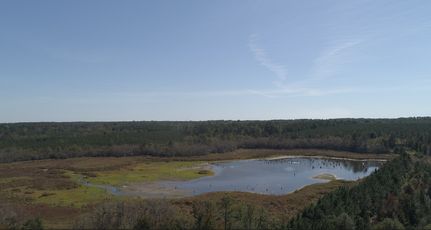 Property for sale in Bulloch County, Georgia