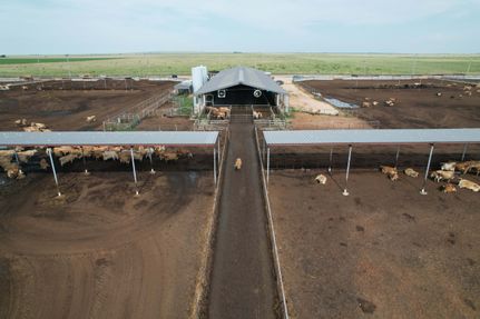 Property for sale in Roosevelt County, New Mexico