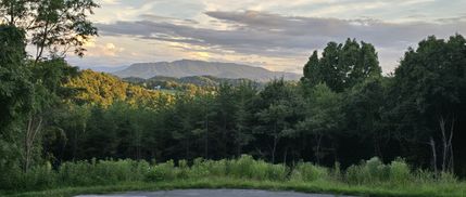 Property for sale in Sevier County, Tennessee